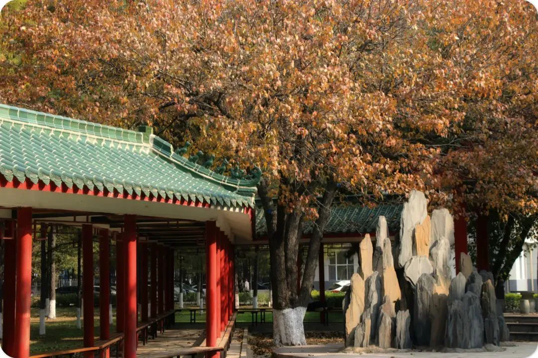 儿童如何在游戏中学习篮球技术_0
